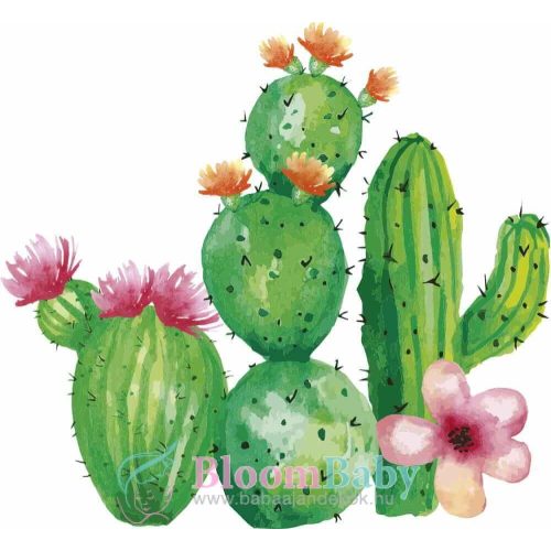 Falmatrica - Kaktuszok M