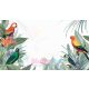 Gyerekszoba dzsungel tapéta panel - Papagájok 3